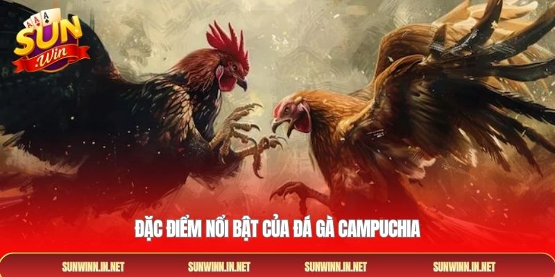 Đặc điểm nổi bật của đá gà campuchia
