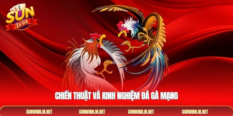 Chiến thuật và kinh nghiệm đá gà mạng