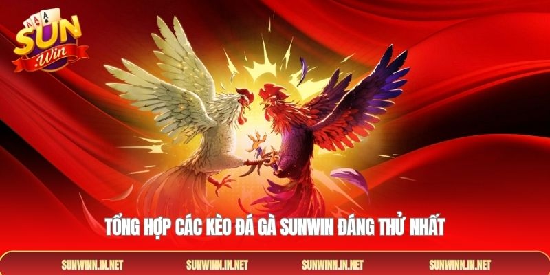 Tổng hợp các kèo đá gà SUNWIN đáng thử nhất