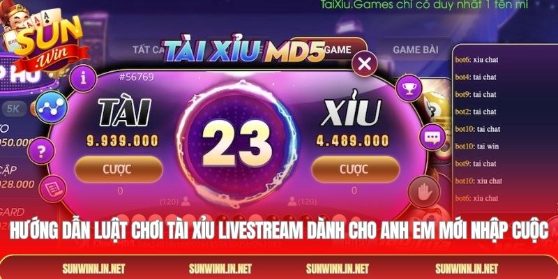 Hướng dẫn luật chơi Tài xỉu Livestream dành cho anh em mới nhập cuộc